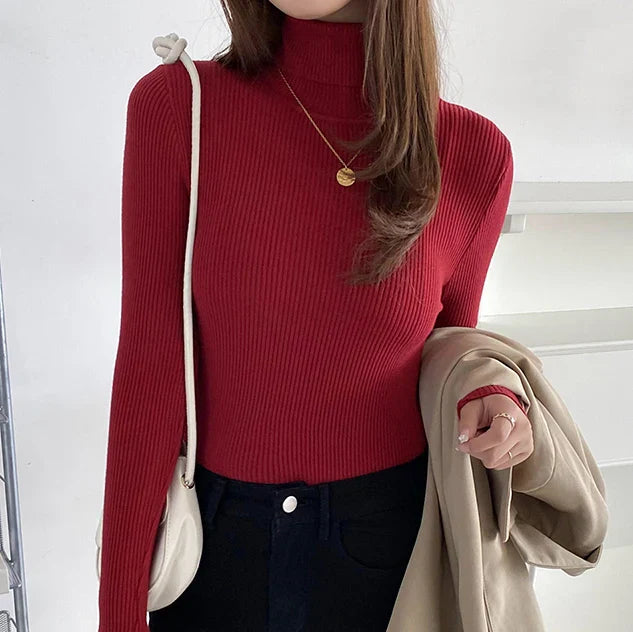 Turtleneck sweater for women