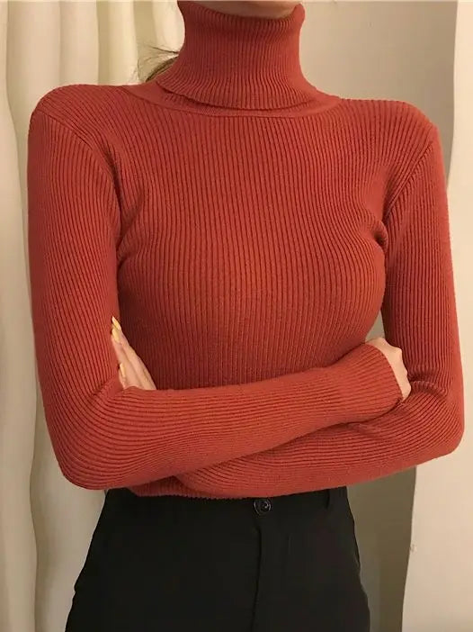 Turtleneck sweater for women