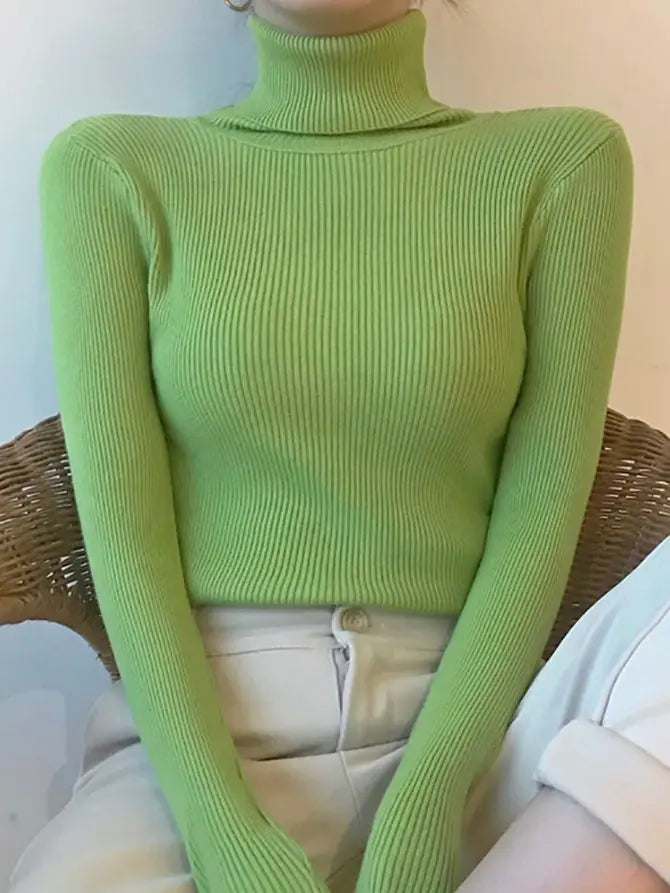 Turtleneck sweater for women