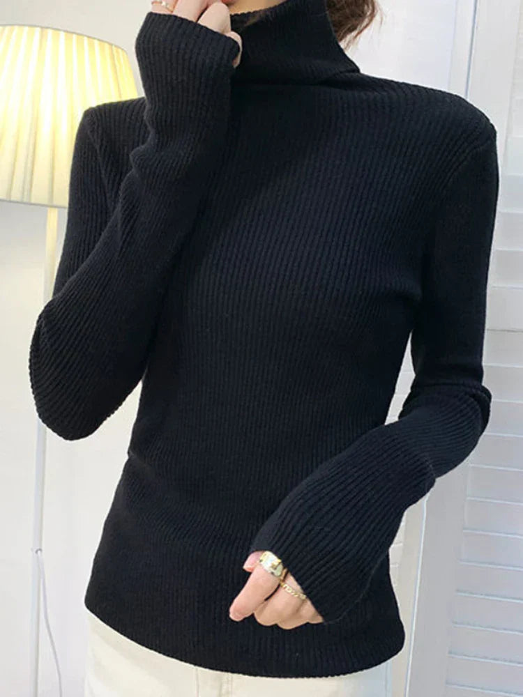 Turtleneck sweater for women