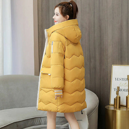 Padded coat with hood for women